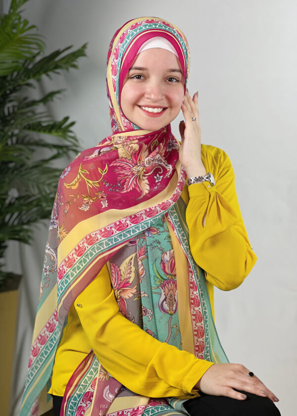 Indian Delight Chiffon Scarf - Image 2